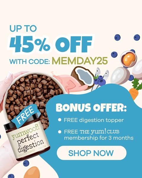This ad creative uses a high-contrast seasonal discount offer combined with a clear product visual to drive immediate clicks.
